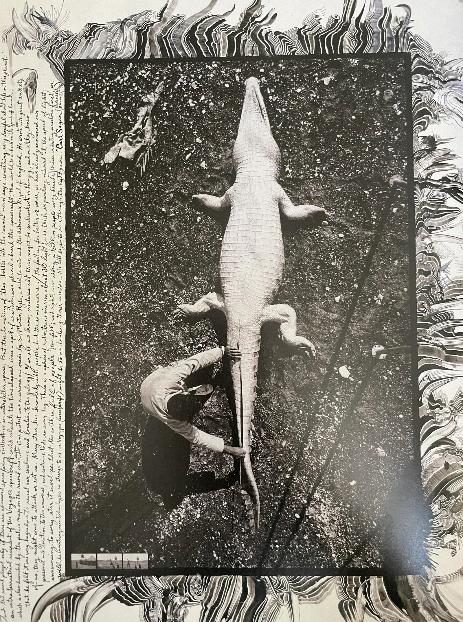 Peter Beard "Alligator" Print: Peter Beard was an American artist, photographer, and writer. He was born on January 22, 1938, and passed away on March 31, 2020. Beard gained recognition for his unique and multidisciplinary approach