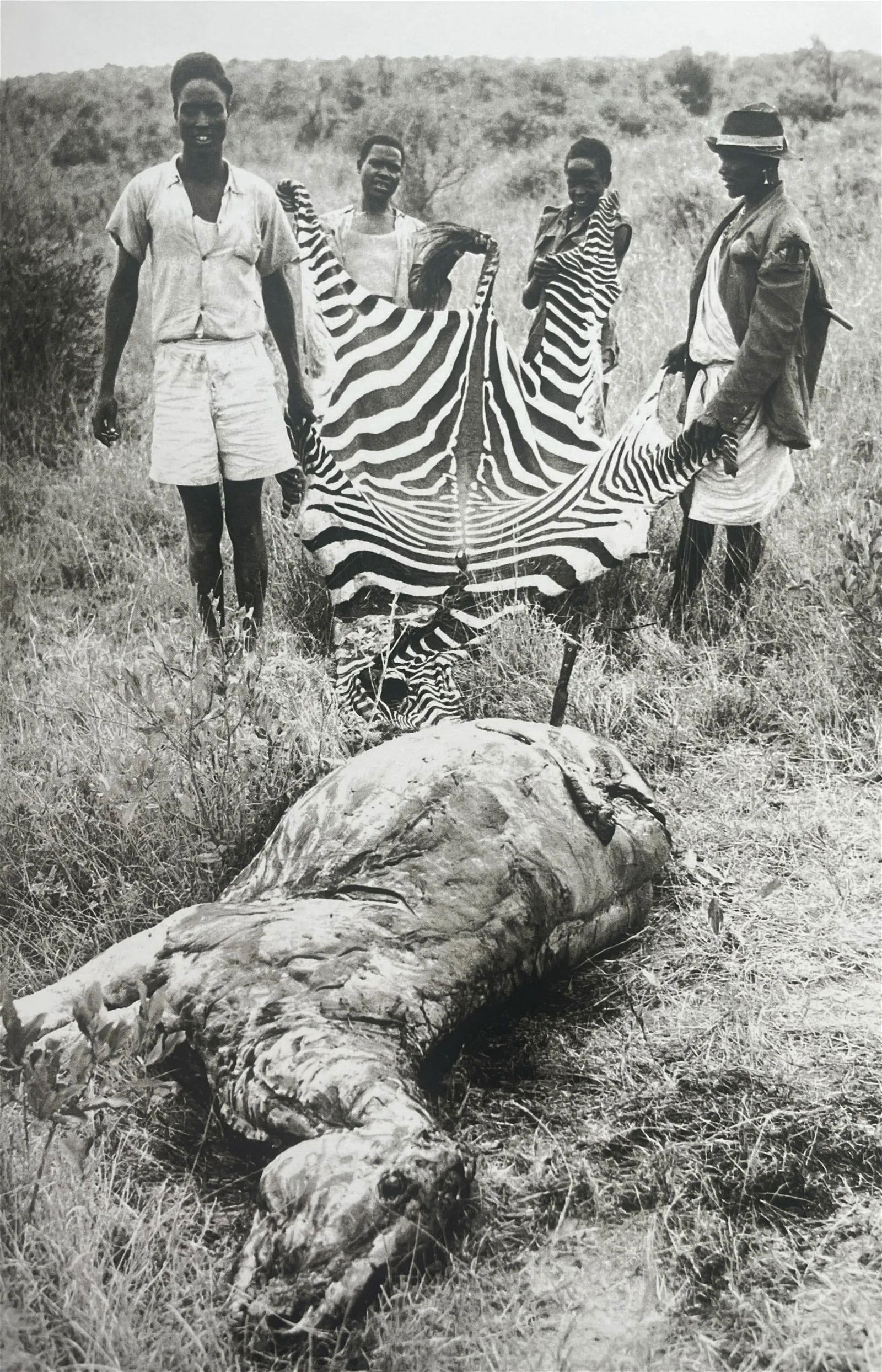 Peter Beard "Zebra Slaying, Africa" Print: Peter Beard was an American artist, photographer, and writer. He was born on January 22, 1938, and passed away on March 31, 2020. Beard gained recognition for his unique and multidisciplinary approach
