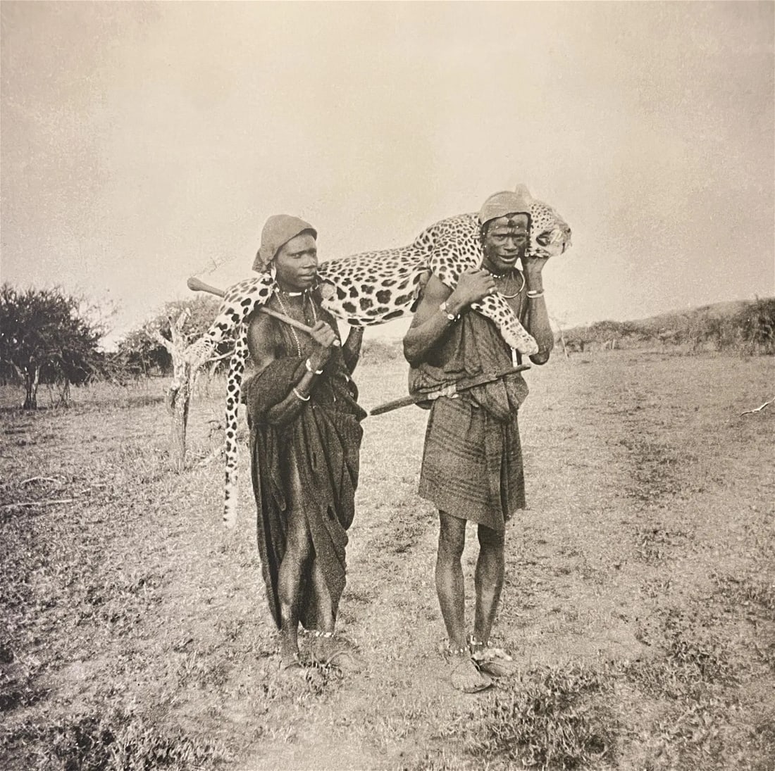 Peter Beard "Cheetah Brutality" Print (1 of 4)