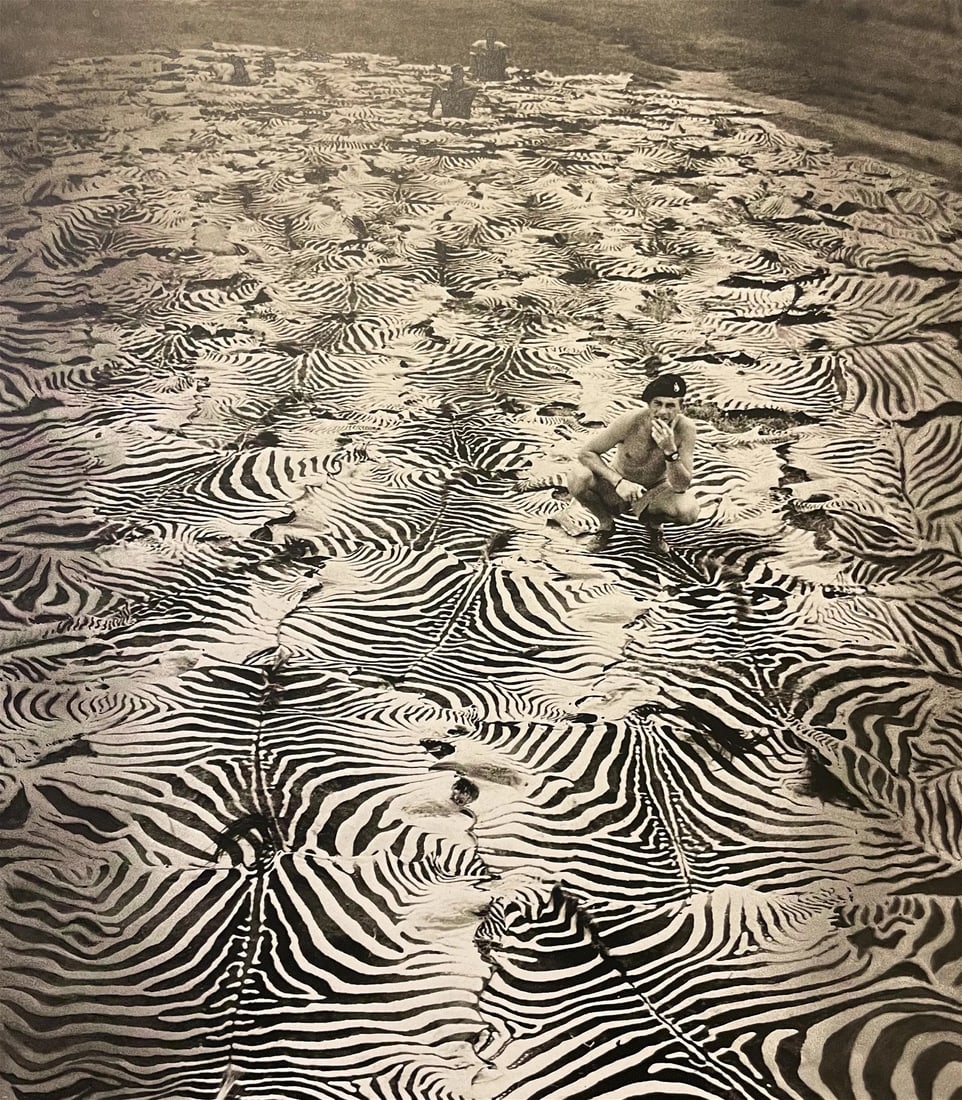 Peter Beard "Zebra Cruelty" Print: Peter Beard was an American artist, photographer, and writer. He was born on January 22, 1938, and passed away on March 31, 2020. Beard gained recognition for his unique and multidisciplinary approach