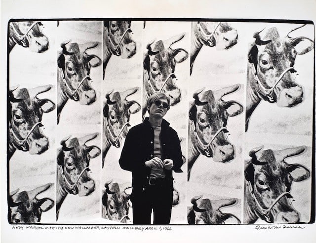 FRED MCDARRAH Andy Warhol with his Cow Wallpaper, Castelli Gallery Photo (1 of 1)