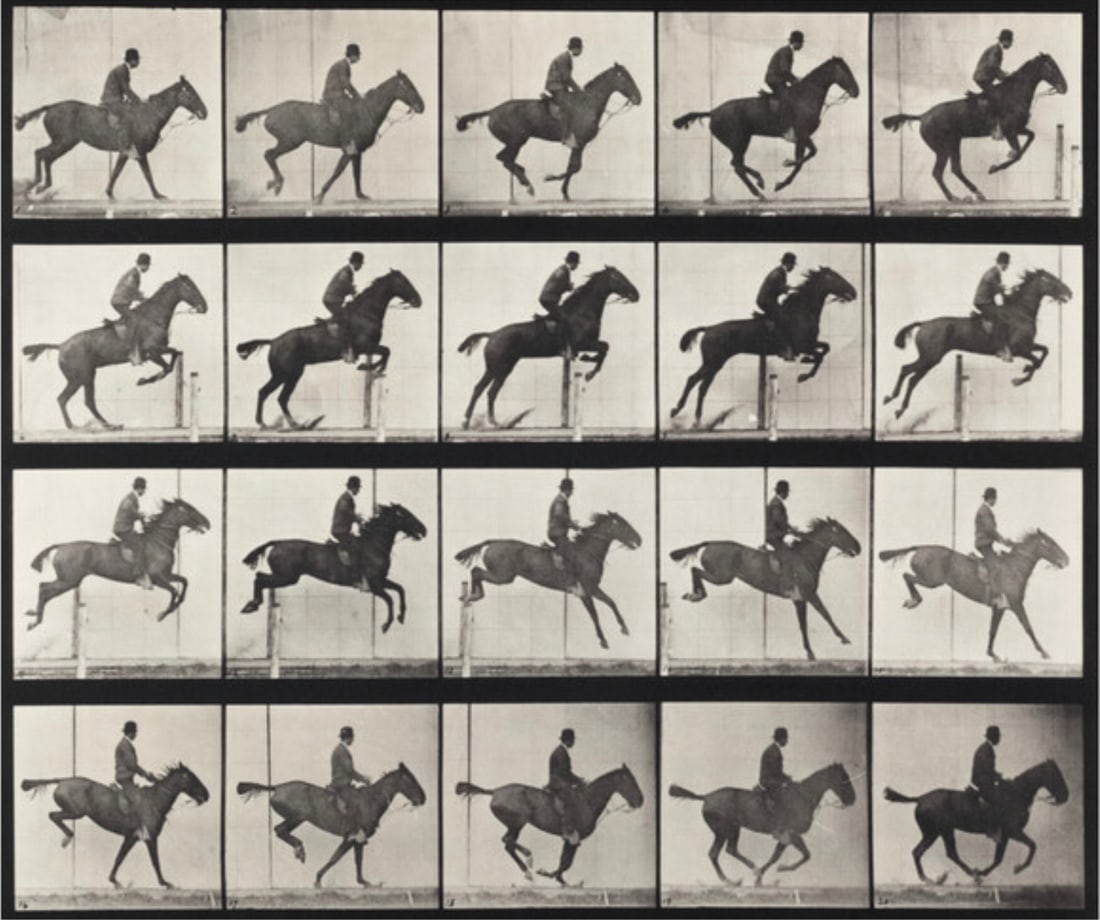 Eadweard Muybridge "Daisy, Jumping, 1887" Print (1 of 1)