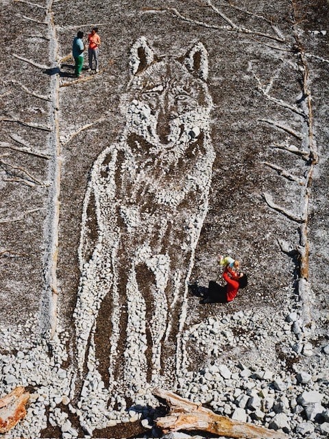 VIK MUNIZ (b.1961) Wolf (1 of 1)