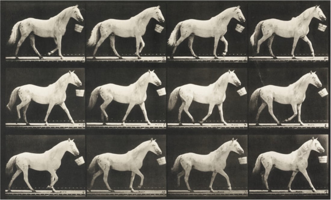 Eadweard Muybridge "Eagle, Walking with Bucket, 1887" Print (1 of 1)