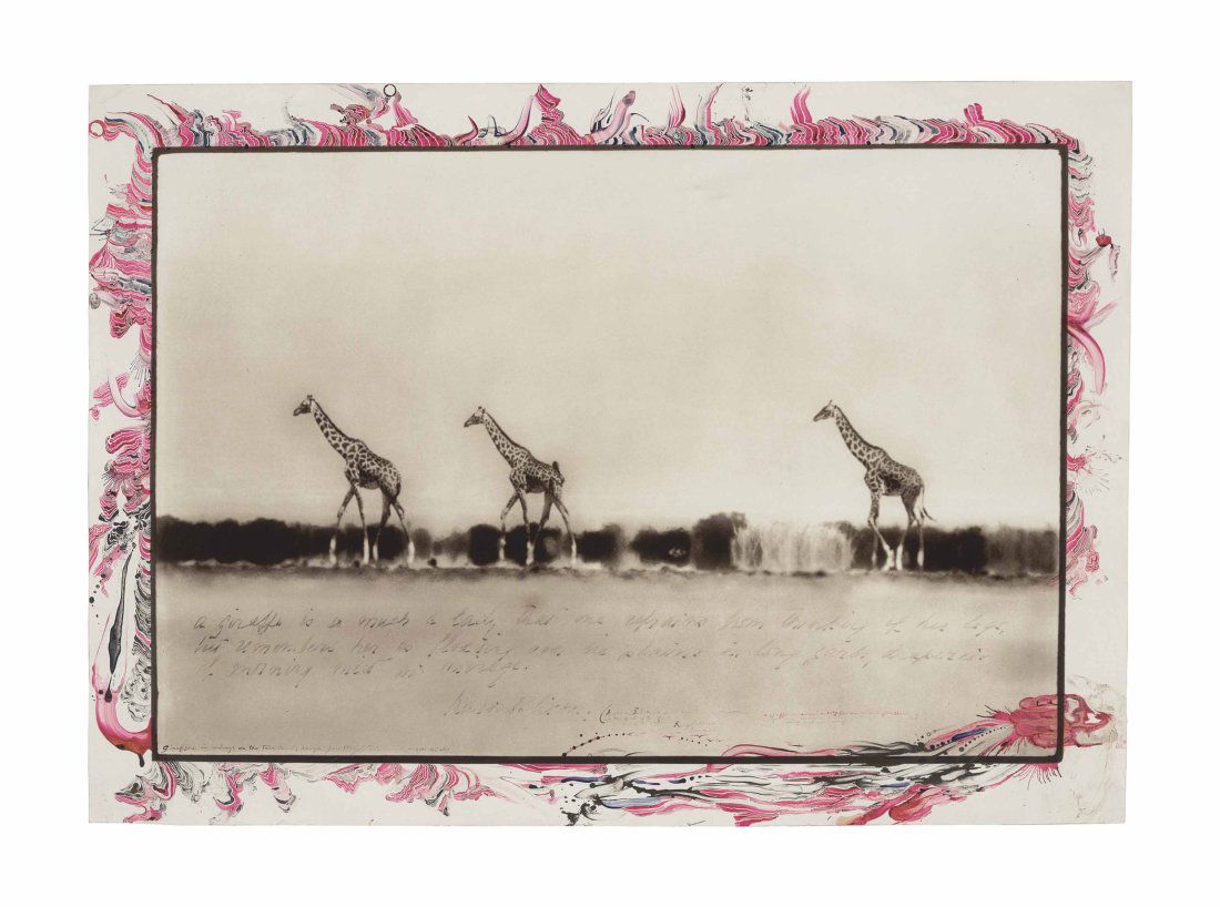 PETER BEARD (B. 1938) Girafes in Mirage on the Taru Desert, Kenya.: PETER BEARD (B. 1938) Girafes in Mirage on the Taru Desert, Kenya annotaed " A Giraffe is so much a Lady that one refrains from thinking of her legs, but remembers her as floating over the plains in h