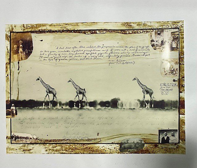 Peter Beard Giraffes in Mirage Taru Desert Photo Print (1 of 1)