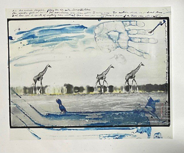 Peter Beard Giraffes in Desert Photo Print: Peter Beard Giraffes in Desert Photo Print Measures 24.00 X 30.00