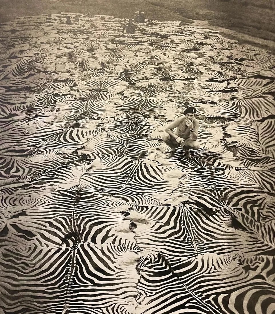 Peter Beard "Zebra Cruelty" Print: Peter Beard was an American artist, photographer, and writer. He was born on January 22, 1938, and passed away on March 31, 2020. Beard gained recognition for his unique and multidisciplinary approach