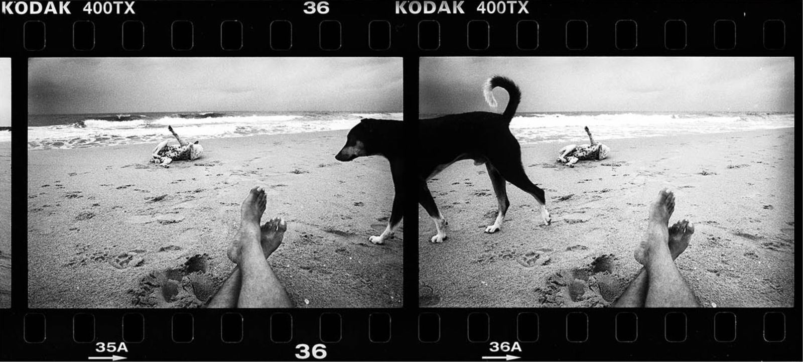 Sohrab Hura "India, 2007" Photo Print (1 of 1)