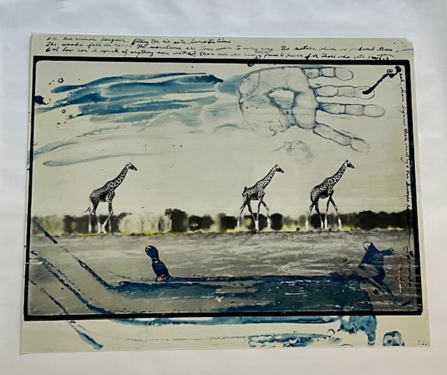 PETER BEARD "GIRAFFES" GLOSSY PHOTO PRINT: PETER BEARD "GIRAFFES" GLOSSY PHOTO PRINT Measures 30.00 X 24.00 inches