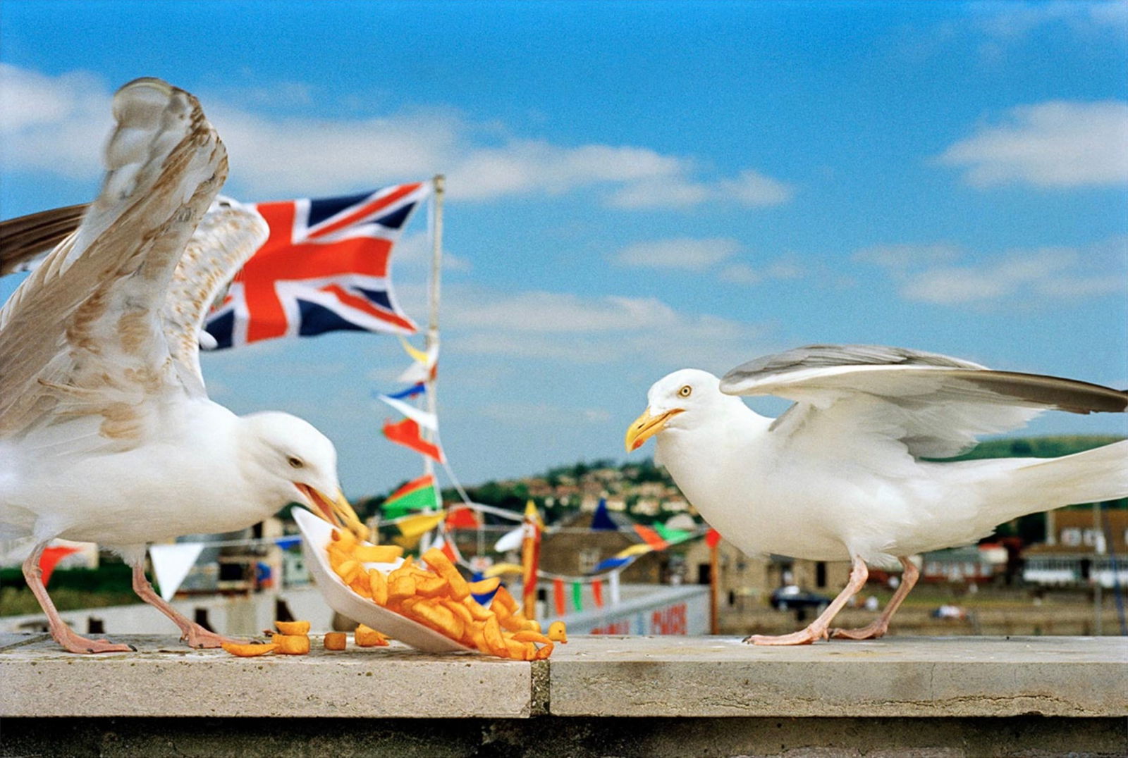 Martin Parr "West Bay, England, 1996" Photo Print: Martin Parr is a British documentary photographer, born on May 23, 1952, in Epsom, Surrey, England. He is widely recognized for his satirical and humorous approach to documenting everyday life and con