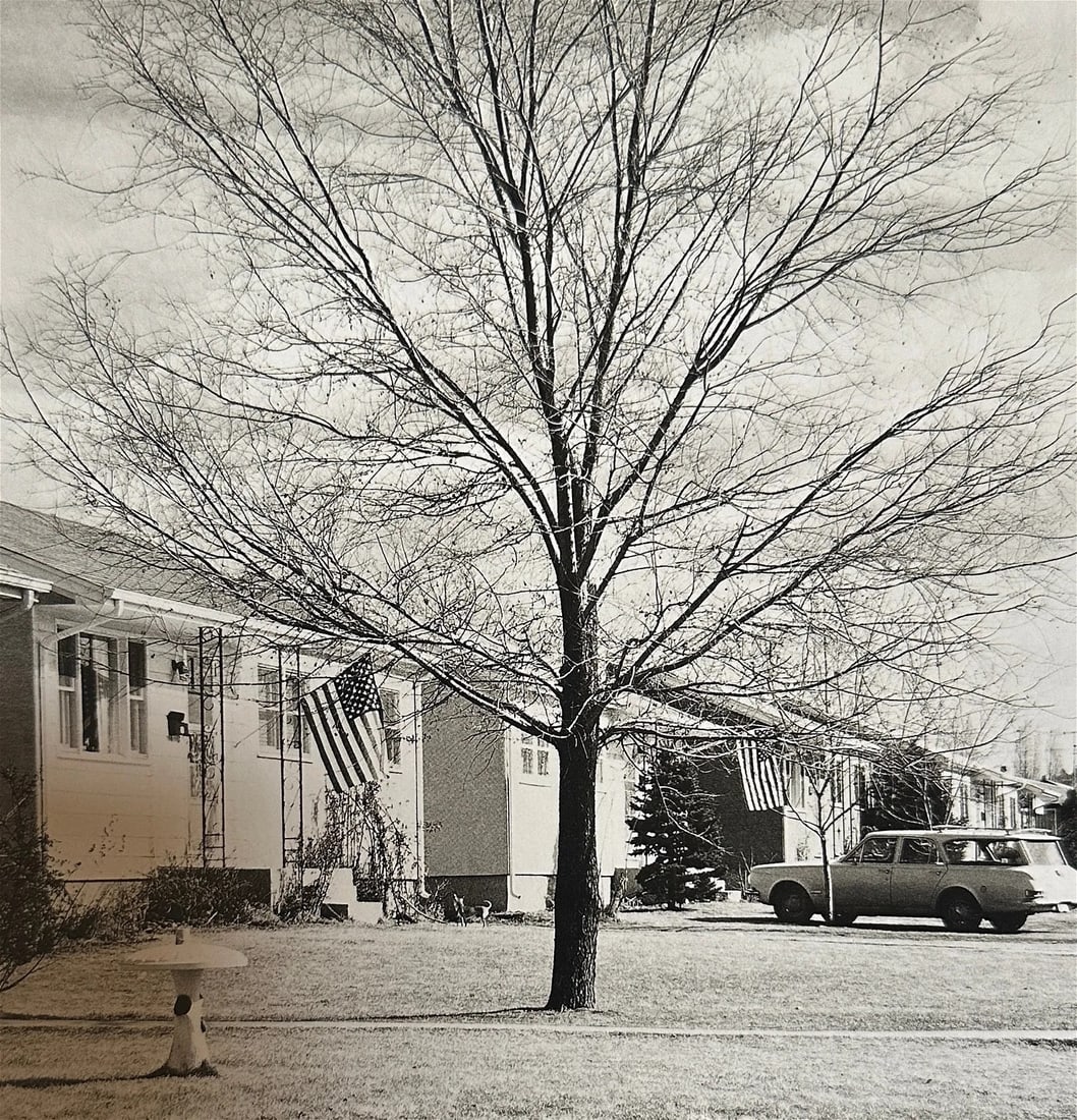 Robert Adams "Untitled" Print.: Robert Adams (1937-1997): Robert Adams was an American photographer who is known for his black-and-white photographs of the American West, particularly the landscapes of Colorado and Oregon. His work