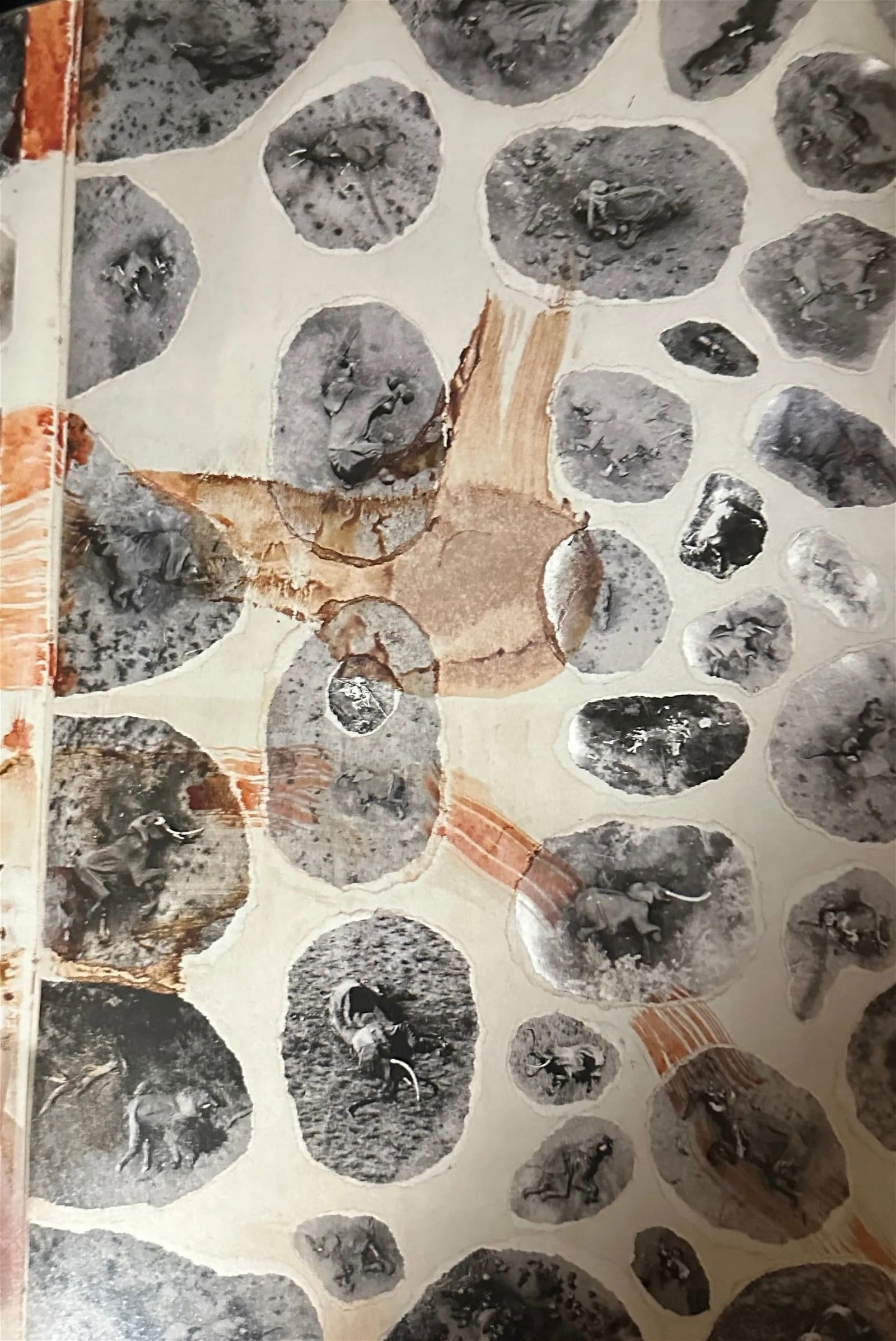 Peter Beard "Untitled" Print: Peter Beard was an American artist, photographer, and writer. He was born on January 22, 1938, and passed away on March 31, 2020. Beard gained recognition for his unique and multidisciplinary approach