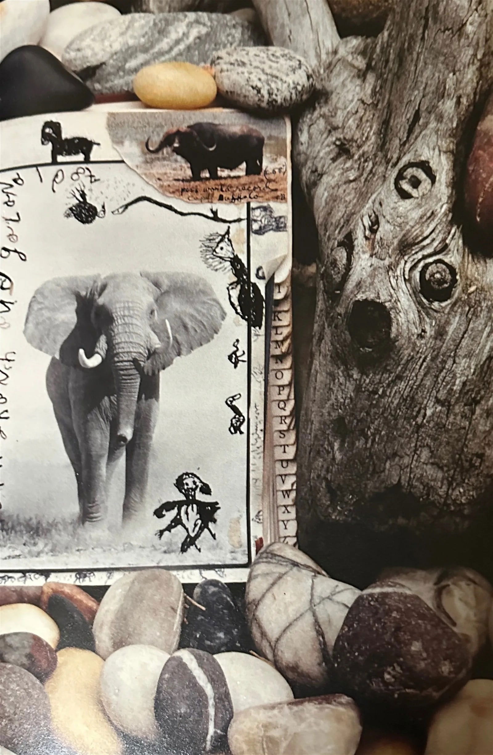 Peter Beard "Untitled" Print.: "Peter Beard was an American artist, photographer, and writer. He was born on January 22, 1938, and passed away on March 31, 2020. Beard gained recognition for his unique and multidisciplinary approac