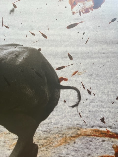 Peter Beard "Untitled" Print.: Peter Beard (1938-2020) was an American artist, photographer, and writer known for his unique style of combining photography, collage, and text. He was born in New York City and developed a passion fo