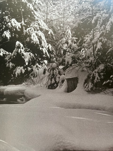 Peter Beard "Untitled" Print.: Peter Beard (1938-2020) was an American artist, photographer, and writer known for his unique style of combining photography, collage, and text. He was born in New York City and developed a passion fo