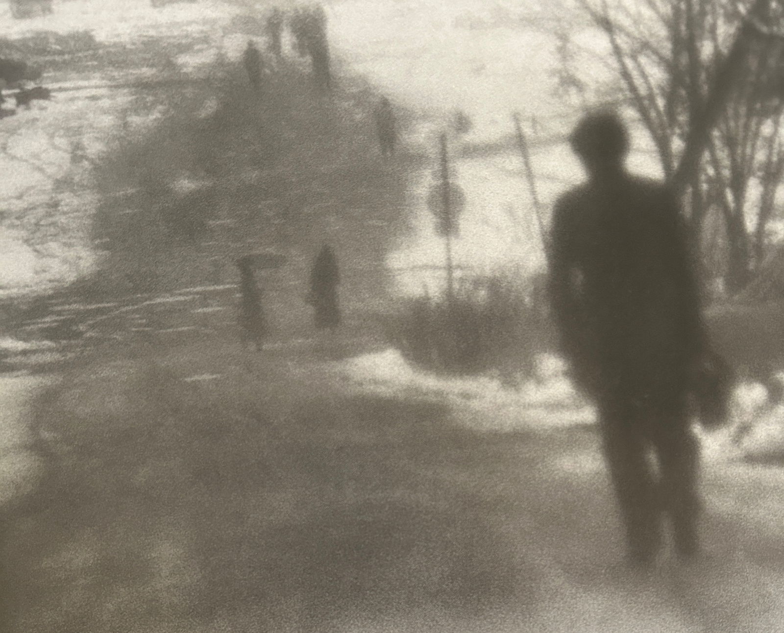 Masahisa Fukase - Raven: Masahisa Fukase (1934–2012)RavenPrint, 9 x 7. Print