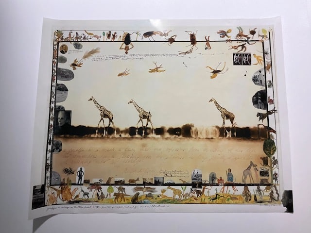 PETER BEARD (B. 1938) Girafes in Mirage on the Taru Desert (1 of 4)