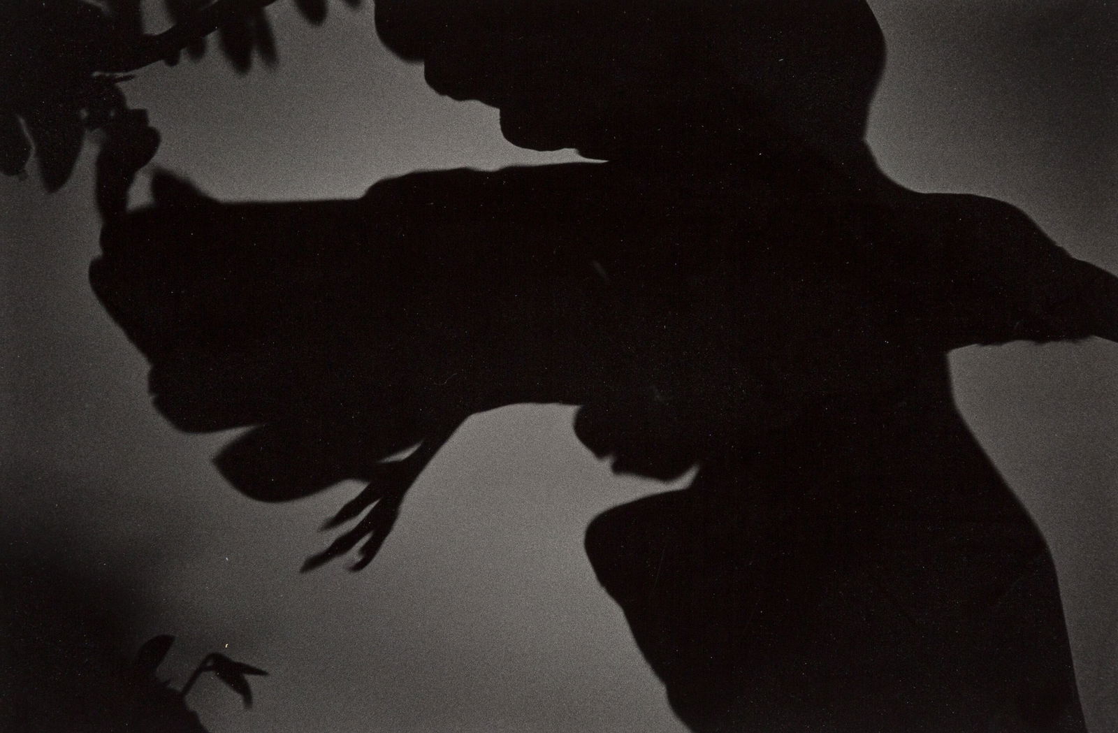 Masahisa Fukase "Untitled, Raven, 1980's" Photo-litho: Measures: 9 x 13 inches, printed later