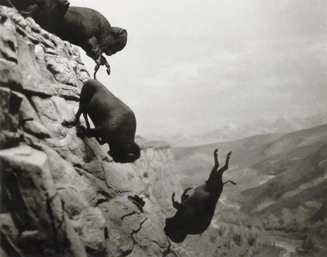 David Wojnarowicz "Untitled, 1988": David Wojnarowicz - Untitled 1988Measures: 8 1/2 x 6 3/4 inchesPhotolitho, printed later, mounted