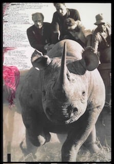 PETER BEARD Tsavo National Park, founded Aprils fool's Day photo print: PETER BEARD Tsavo National Park, founded Aprils fool's Day photo print. Measures 42.00 X 29.00 Inches, After Peter Beard