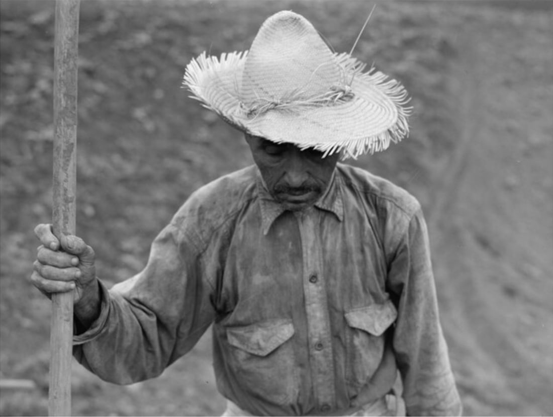 Jack Delano "Barranquitas Puerto Rico, Tobacco Farm Laborer, 1941" Print: Jack Delano (1914-1997) was an influential American photographer, filmmaker, composer, and illustrator known for his significant contributions to documentary photography during the Great Depression an