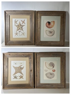Set of Four Beach Prints of Shells and Starfish