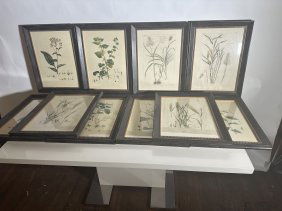 Vintage Botanical Prints - set of 10