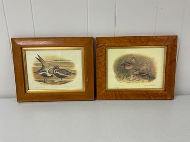 Set of 2 Vintage Framed Bird Prints