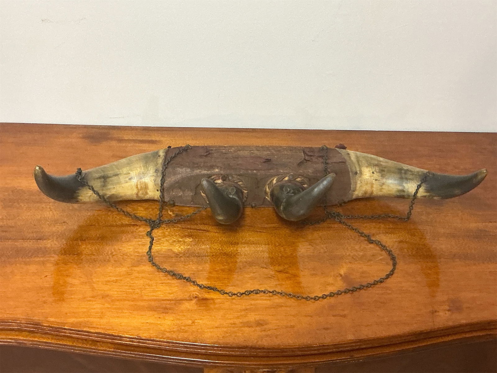 Horn Coat Hook