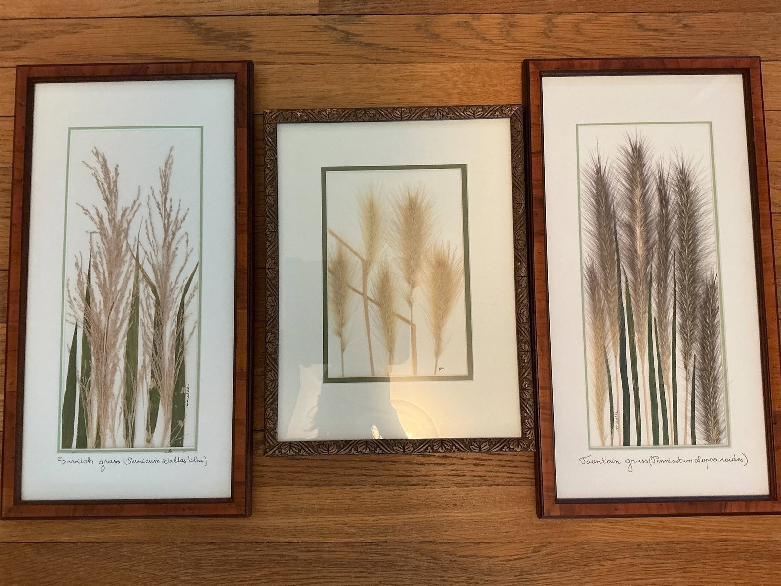 Framed Botanicals - 2