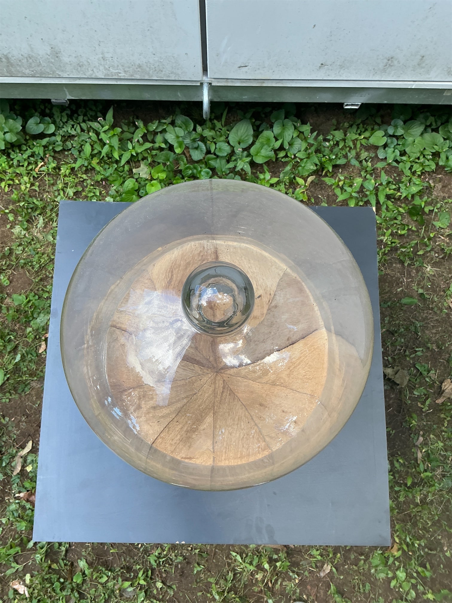 Large Bell Jar - 2