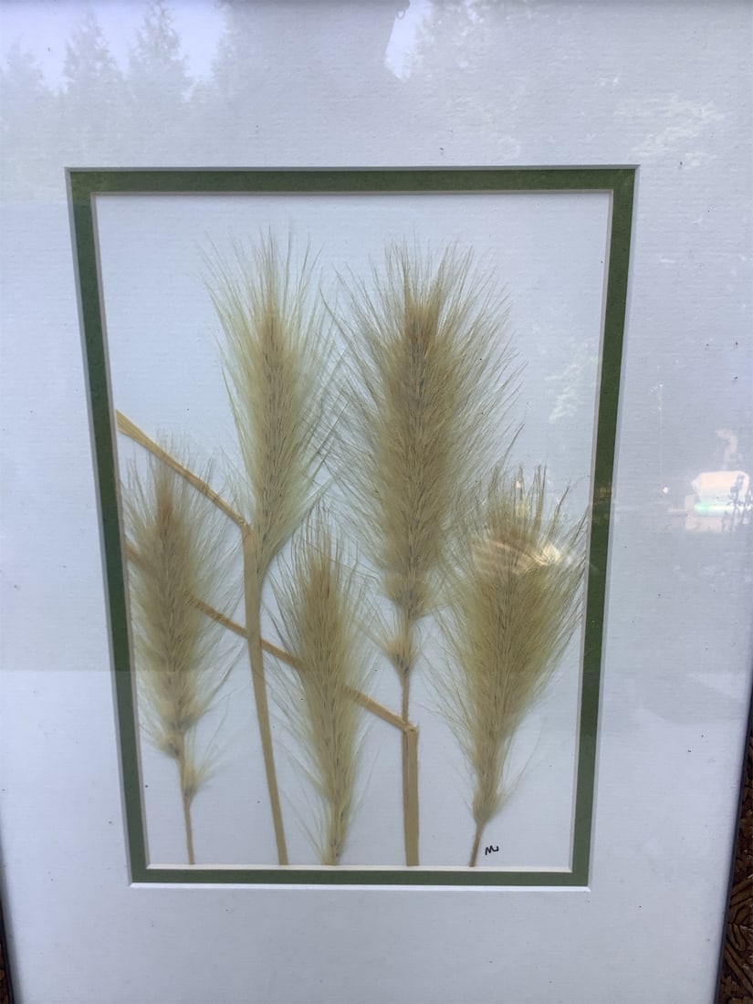Framed Foxtail Botanical - 2