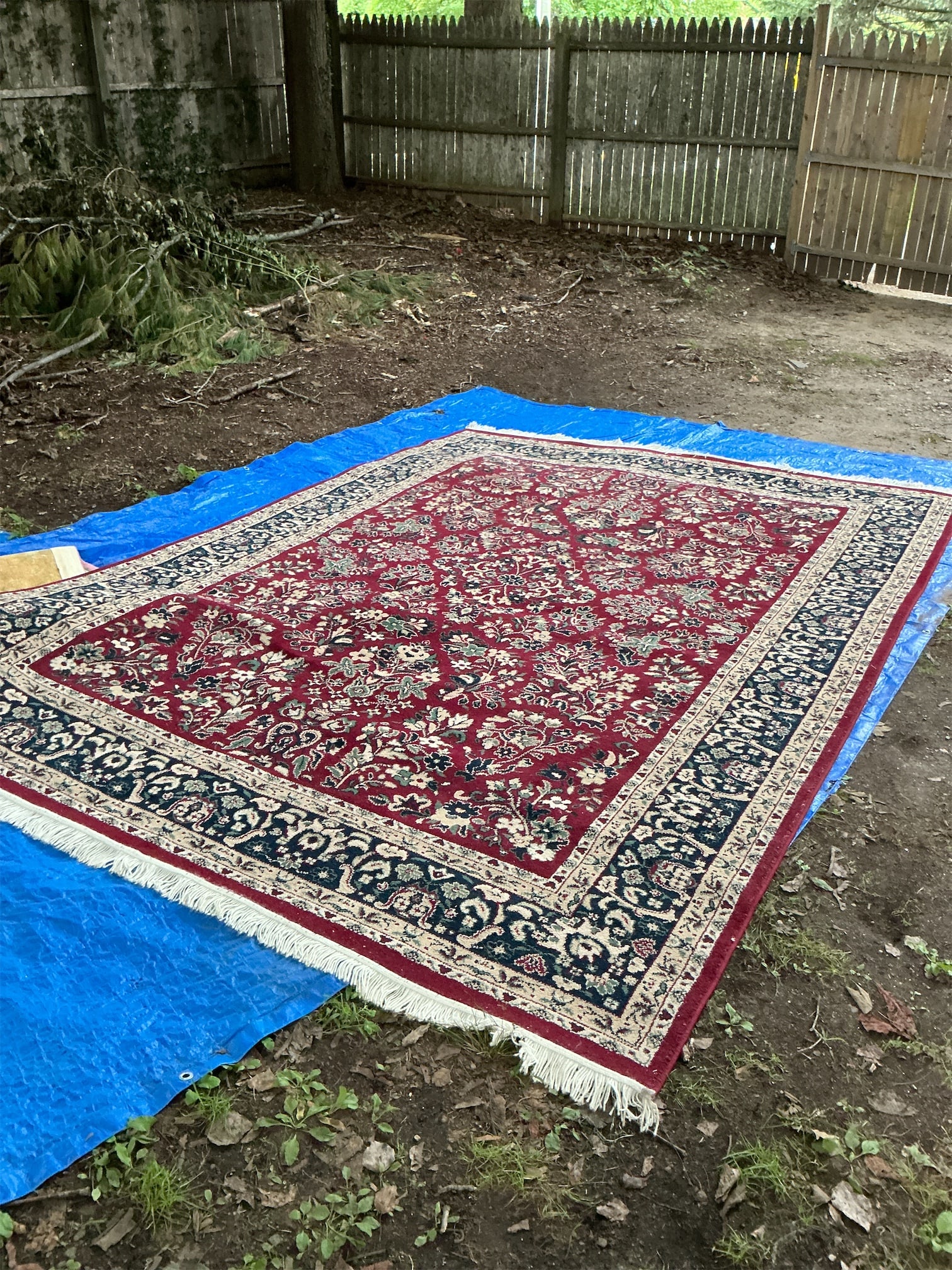 Red and Blue Wool Rug: Add a touch of elegance to your space with this stunning red and blue wool rug. Featuring intricate floral patterns set against a rich red background, the design is bordered by a deep blue and cream