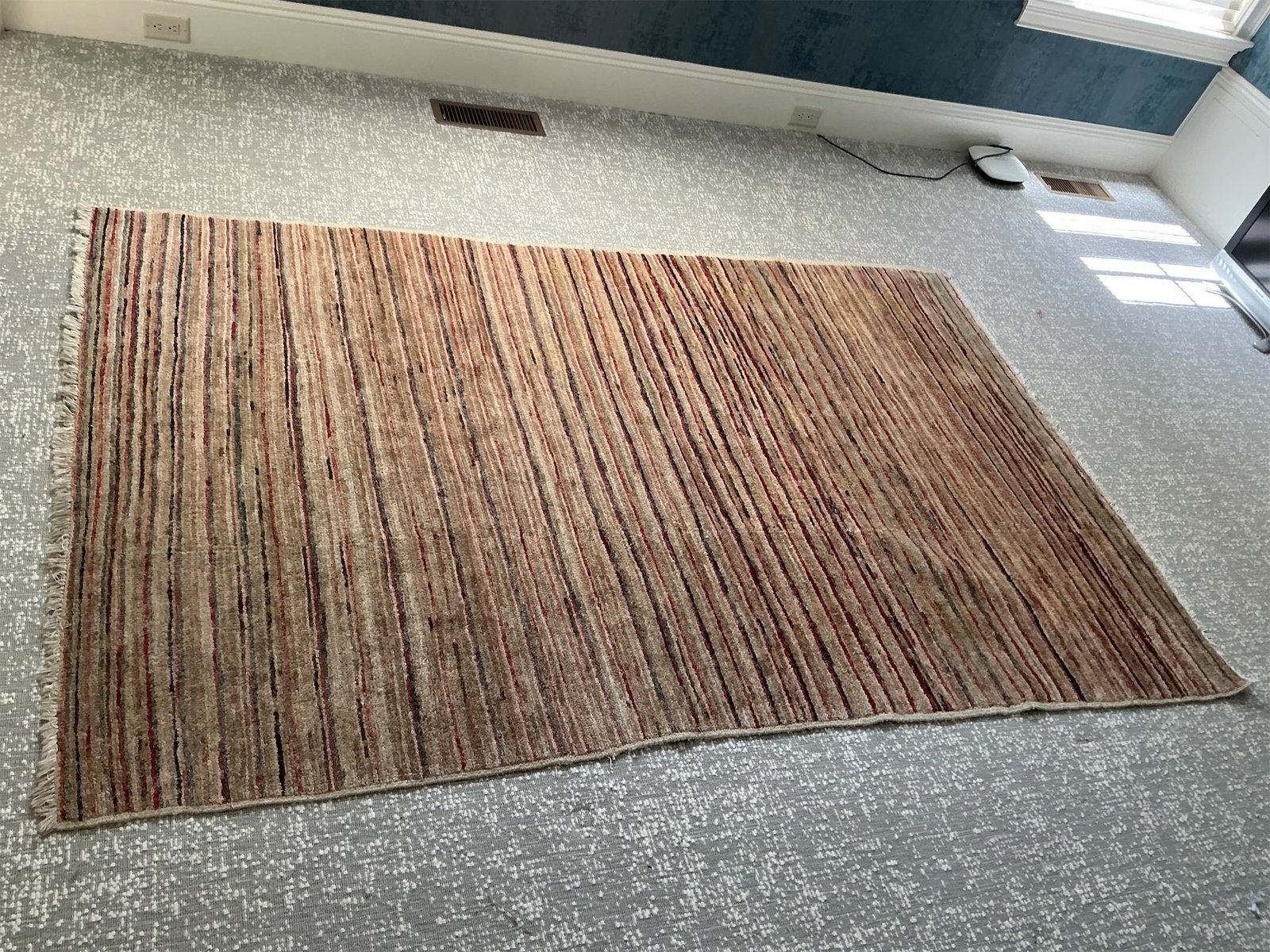 Striped rug: This striped rug features a beautiful blend of earthy tones, including soft browns, subtle reds, and hints of blue, creating a warm and inviting atmosphere for any space. Its design showcases a