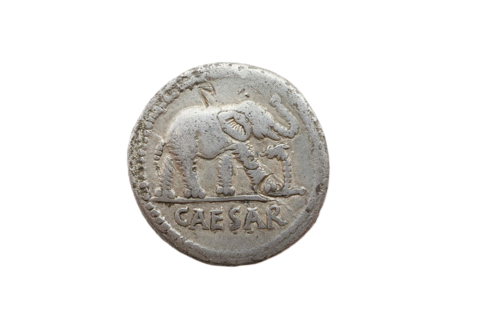 Julius Caesar AR Denarius. 49-48 BC. Elephant (1 of 2)
