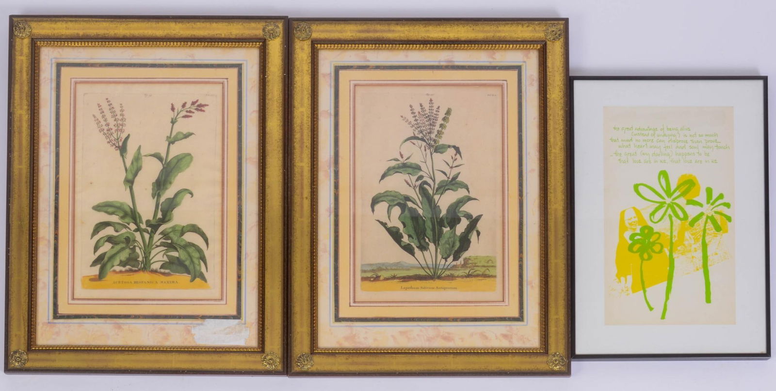 PAIR OF COPPER PLATE ENGRAVED BOTANICAL PRINTS (1 of 1)