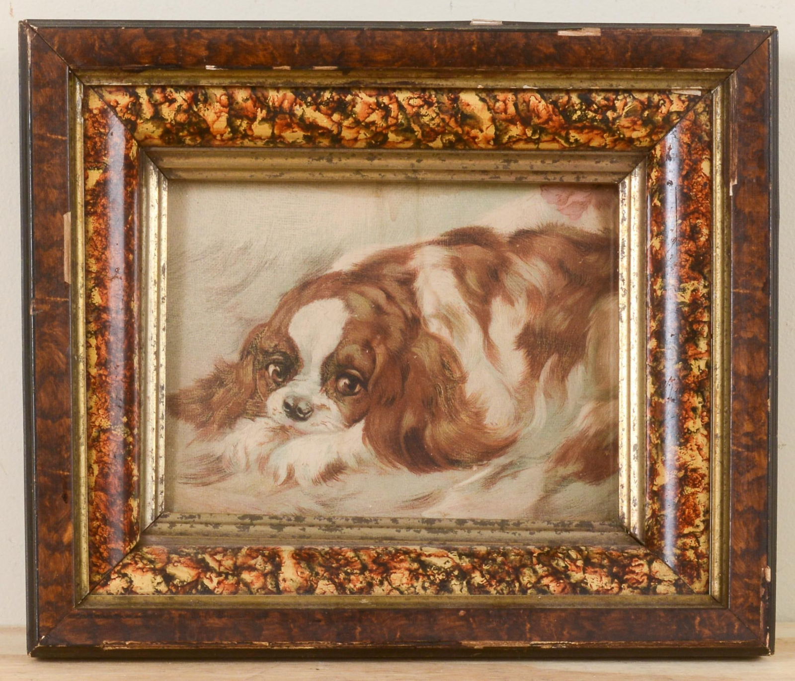 DRAWING OF A KING CHARLES SPANIEL IN A GRAIN PAINTED FRAME (1 of 2)