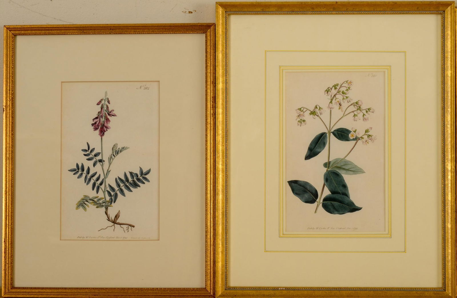 Five Framed Botanical Prints (1 of 4)