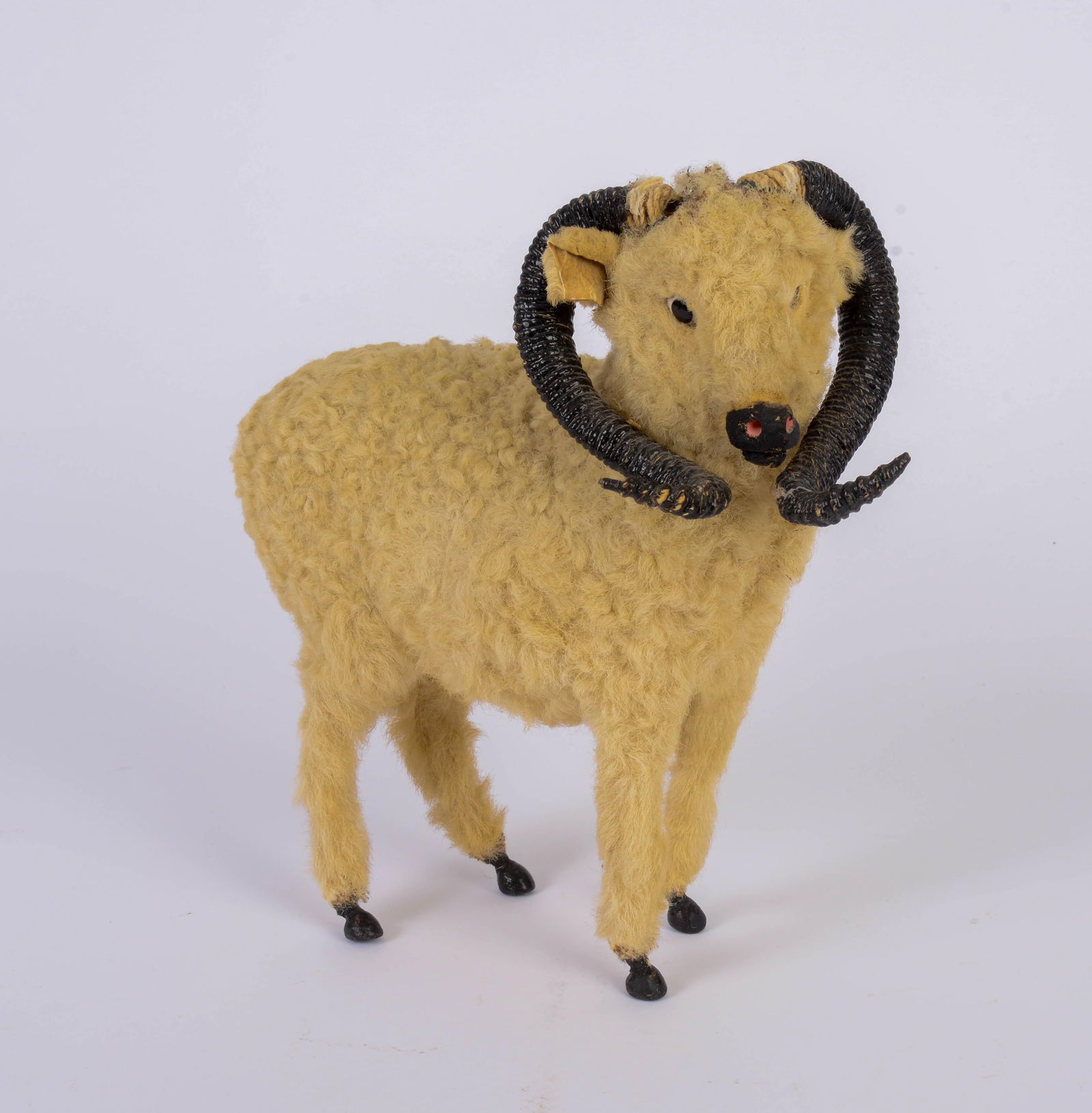 Wool Sheep with Horns (1 of 3)