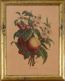 FRENCH BOTANICAL PRINT IN GOLD FRAME, BENOIT CHERAT, C. 1940'S