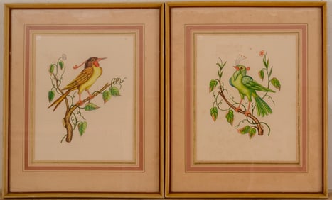 PAIR OF EXOTIC BIRD WATERCOLORS C. 1950, SIGNED VITTORIO GUIDOTTI