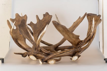 ANTLER WREATH.