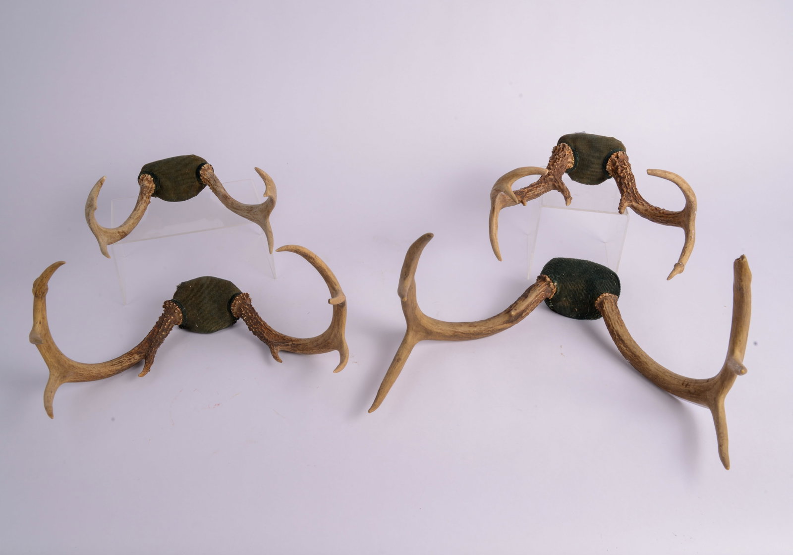 Group of Four Antlers: Largest width 15.5 inches.