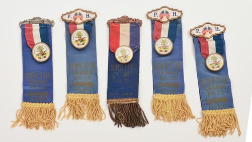 Five Grange Pins.