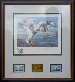 Duck Stamp Pencil Lithograph by David A. Maass.