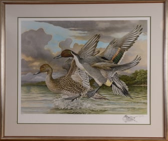 Basil Ede. Original Lithograph of Pintails Alighting.
