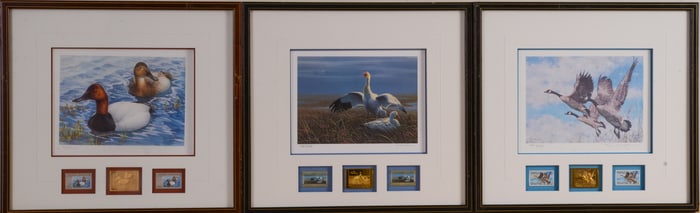Three Canadian Duck Stamp Prints.