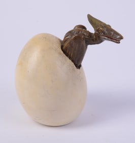 Chinese Pterodactyl Hatching Egg.