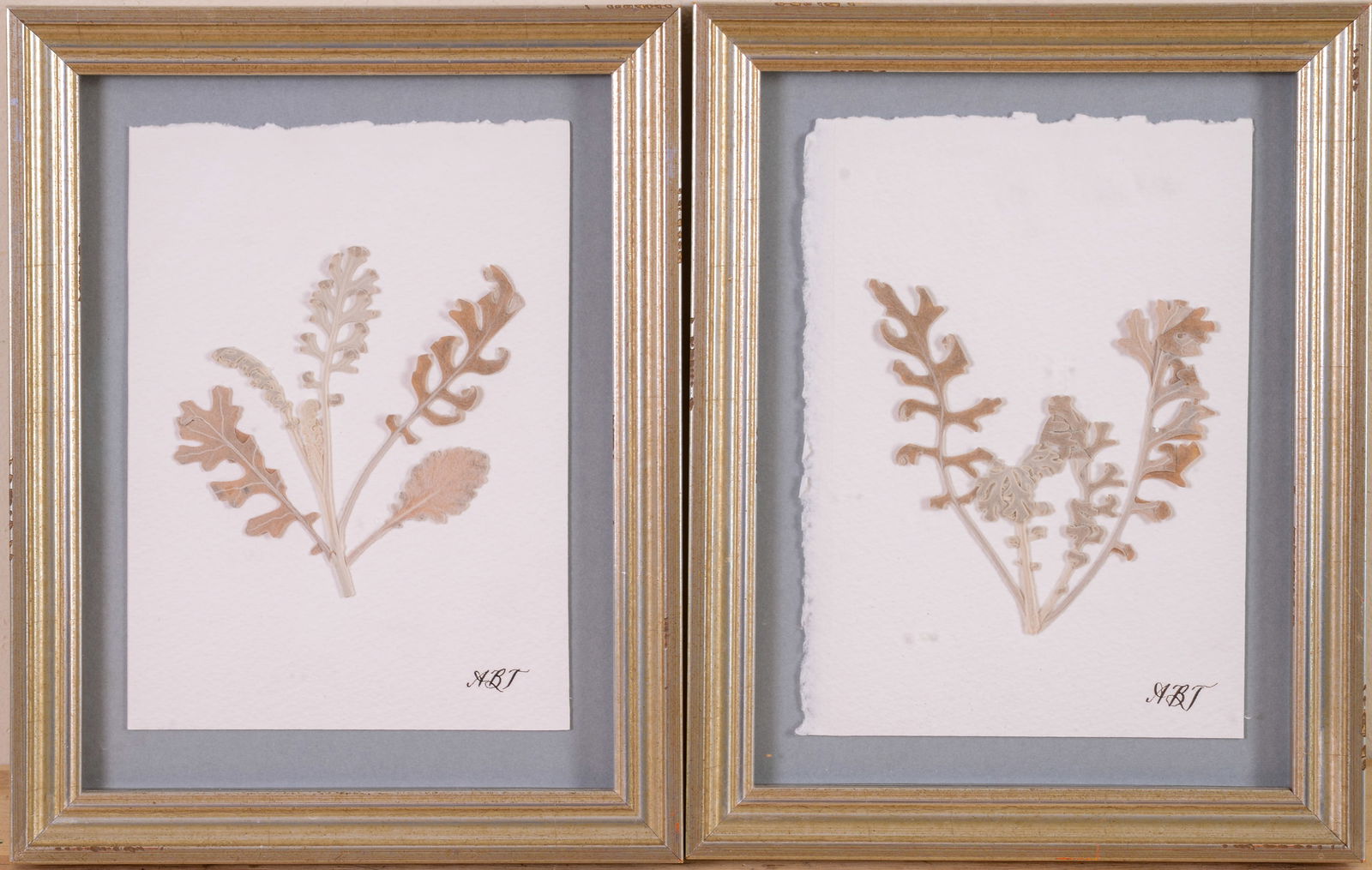 Two Pressed Leaf Artworks. (1 of 4)